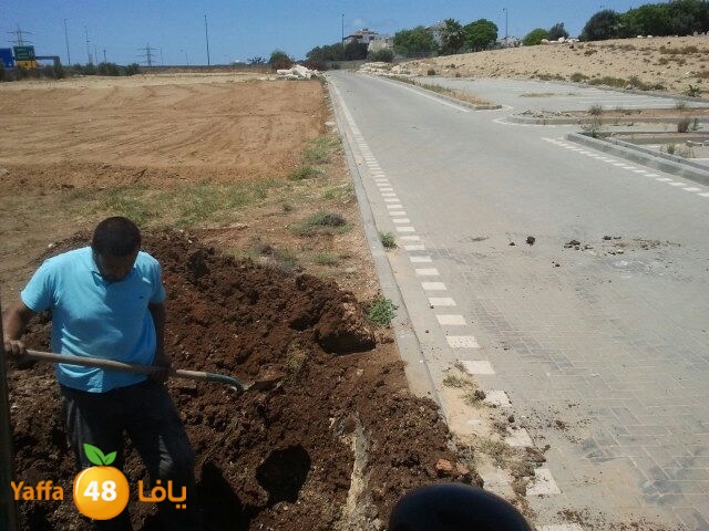 haiy2aislamiya513 (3).JPG